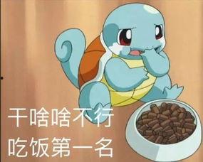 杰尼龟爆料视频,揭秘背后故事与幕后真相  第2张